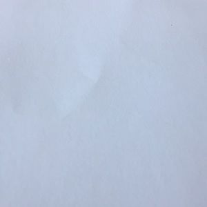 Meet your Posher, Brbriana